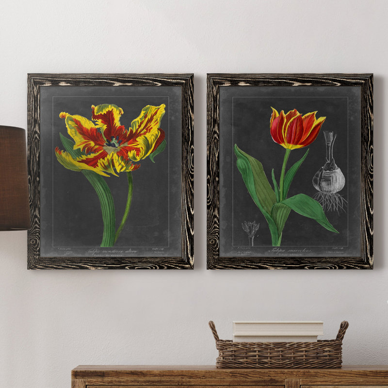 «Midnight Tulip II», reproduction encadrée de qualité supérieure - prête à être accrochée, H 24 po x l 36 po x P 1,5 po