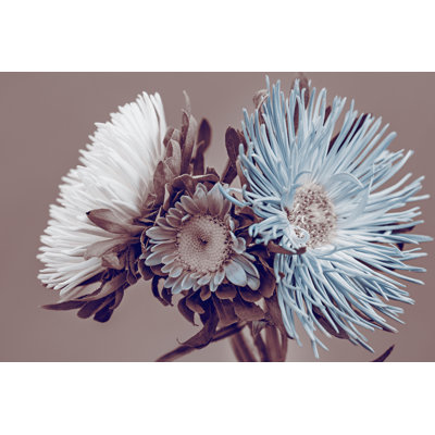 Flowers In Sepia Tone - No Frame Print on Glass