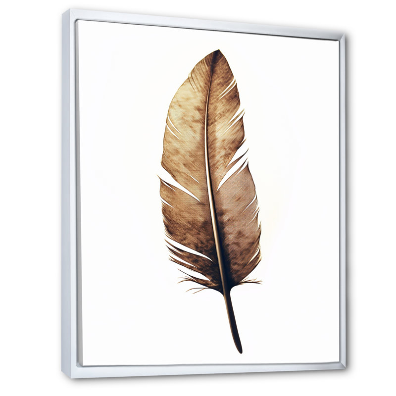 «Brown Boho Feather on White Watercolor», reproduction d'art sur toile, Cadre flottant blanc, H 44 po x l 34 po x P 1,5 po