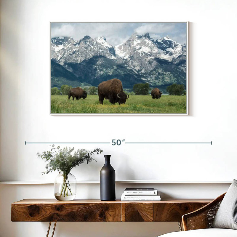 Bison Teton broutant, Cadre flottant blanc, 37 po x 25 po