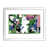 White Picture Frame Paper is unavailable