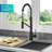 Oletto 2-in-1 Pull-Down Single Handle Kitchen Faucet-79074720