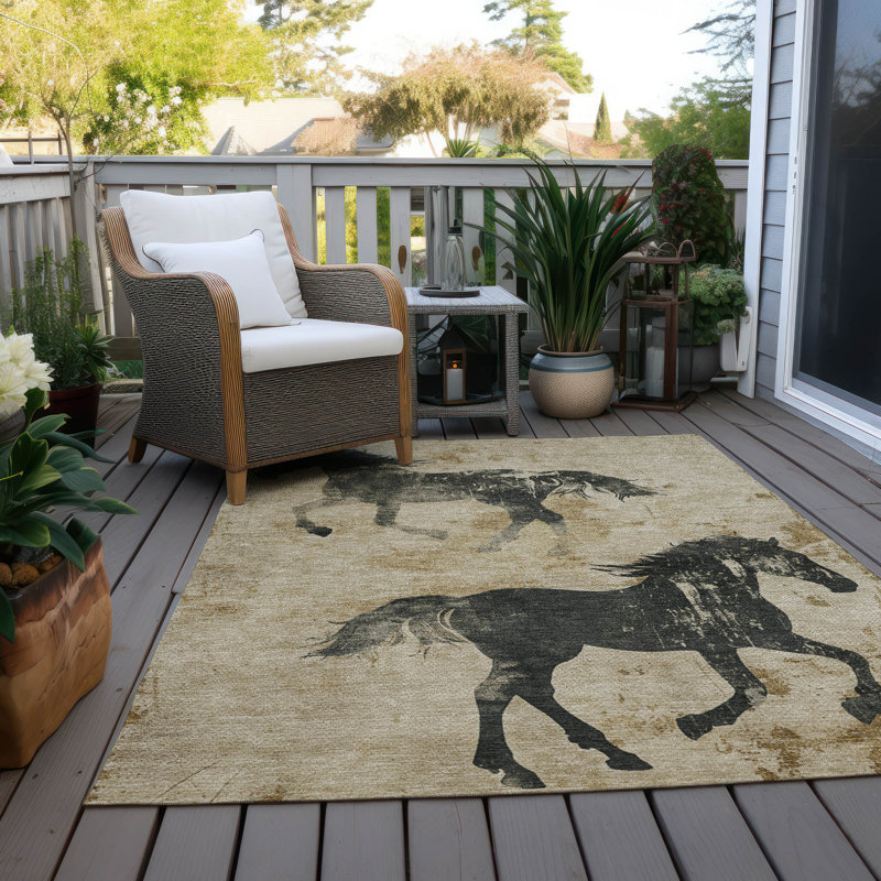 Tapis beige intérieur / extérieur lavable à la machine Cinead ACN1717, Rectangulaire 3 pi x 5 pi