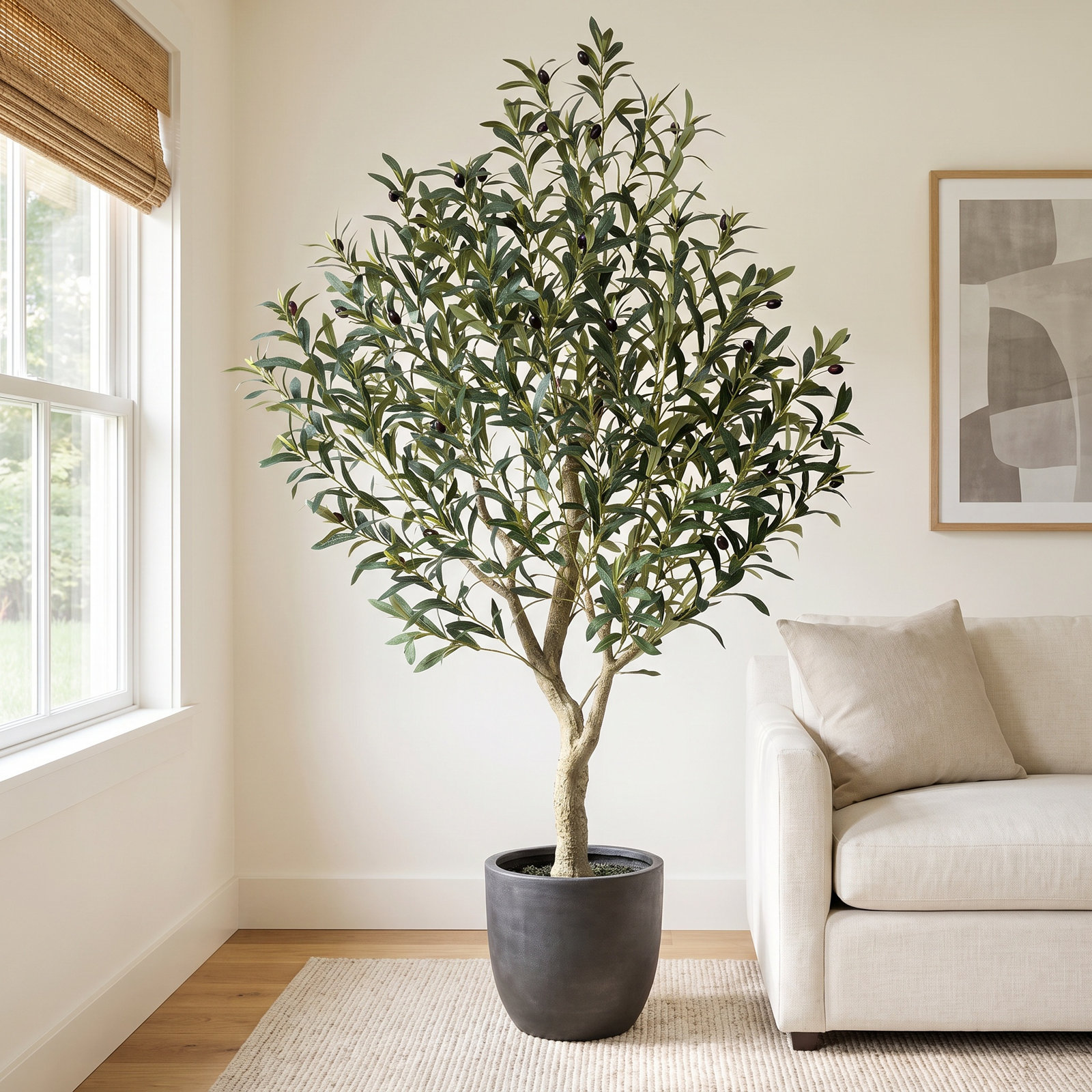 Adcock Olive Tree in Pot, 60"H x 20"W x 20"D