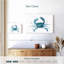 Crabe bleu Brampt-107845288