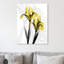 Iris - Wrapped Canvas Print-436993623