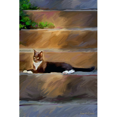 Trouble Cat