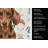 Chocolate and Tan Dachshund Coffee Bar Kitchen Towel-1168063437