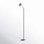 Koen 69'' Dimmable LED Floor Lamp