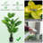 60'' Faux Monstera Deliciosa Tree in Cement Pot