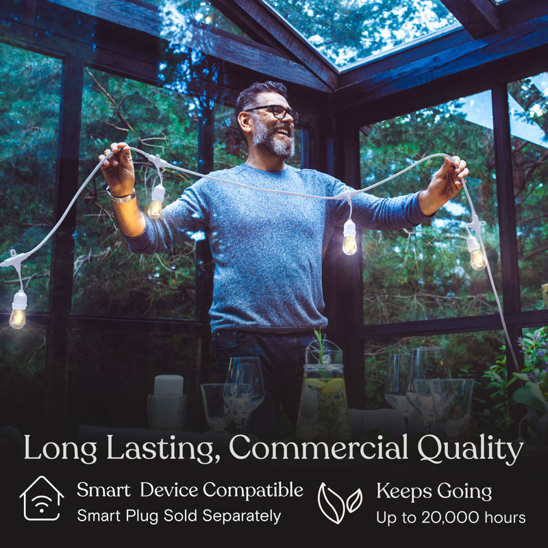 48 ft White LED Outdoor String Lights with Clear Bulbs