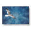 Seagull in Flight Vol.1 - Wrapped Canvas-61847220