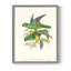 «Lime & Cerulean Parrots II», reproduction encadrée - bois massif-934413491-934413496