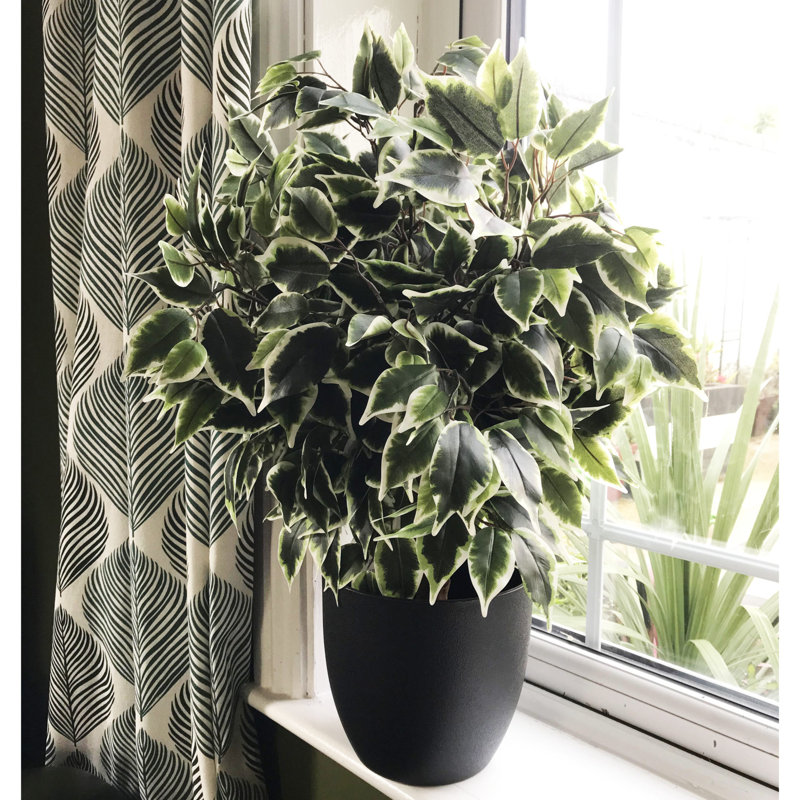 Anjeli 60cm Faux Foliage Plant in Pot