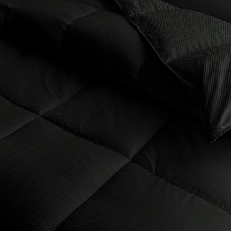 Comforter, Black, Full XL