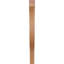 Attelle de genou Funston-1812888343-1812888344-1803675952