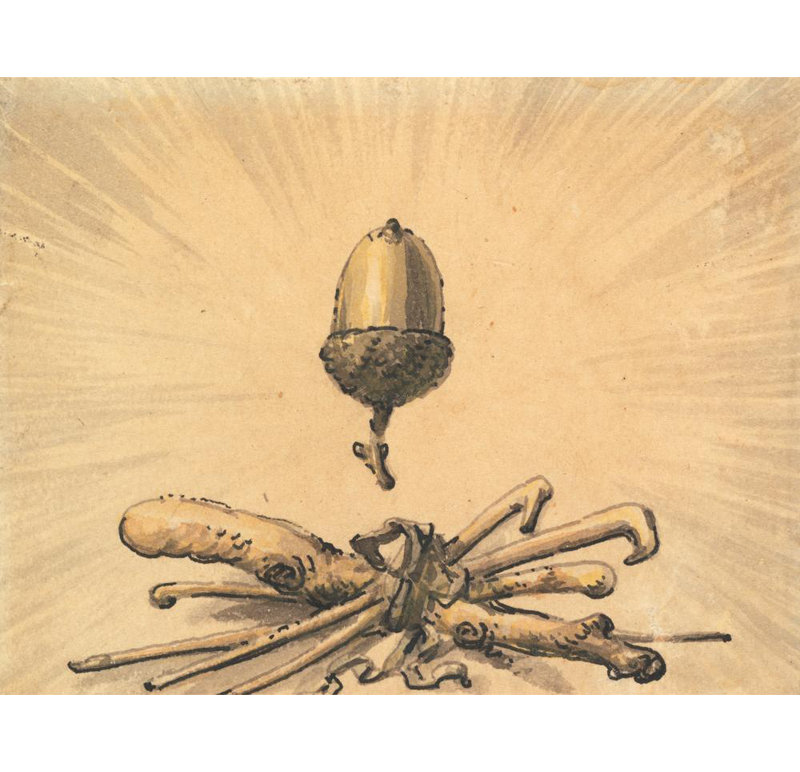 «Acorn Force» par Julius Caesar Ibbetson - Art mural sur toile tendue avec châssis, H 24 po x l 17 po