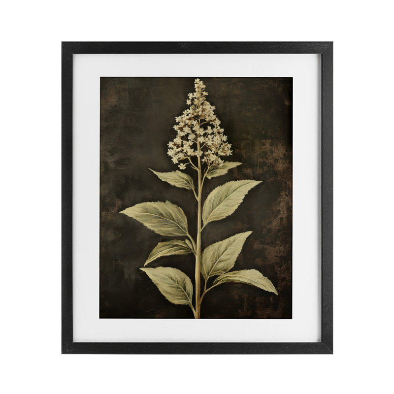 «Weathered Flower Portrait», reproduction sous verre encadrée, design par Petal Prints Design, Cadre noir minuit