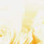 Bed Of Roses - Print on Canvas-1051721394