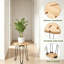 Table d'appoint Monstera Leaf