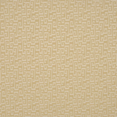 Allure 100% Cotton Fabric