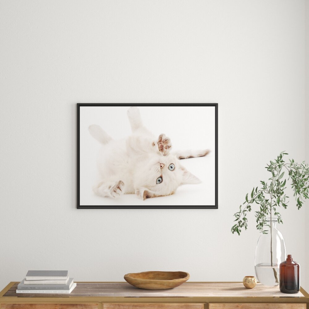 Gerahmtes Wandbild Kleine Katze