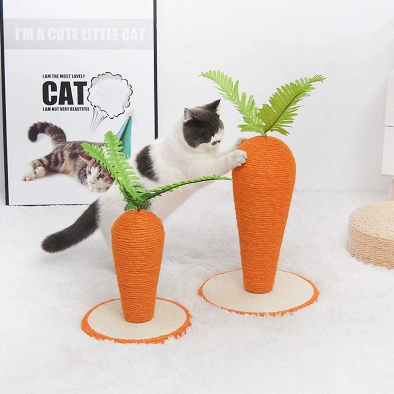 Cadre d'escalade pour chat Sisal, H 11,42 po x l 10,24 po x L 10,24 po