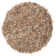 Arik Indoor Rug