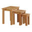 Carmel Solid Wood Nesting Tables-61943479