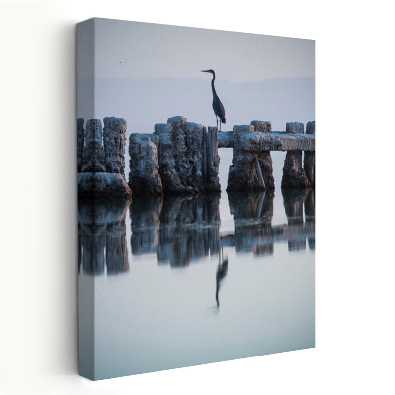 Héron chassant - paysages côtiers, photographie d'animaux, art, H 24 po x l 16 po