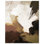 "Earthy Palette II", reproduction d'art sur toile par Art Remedy