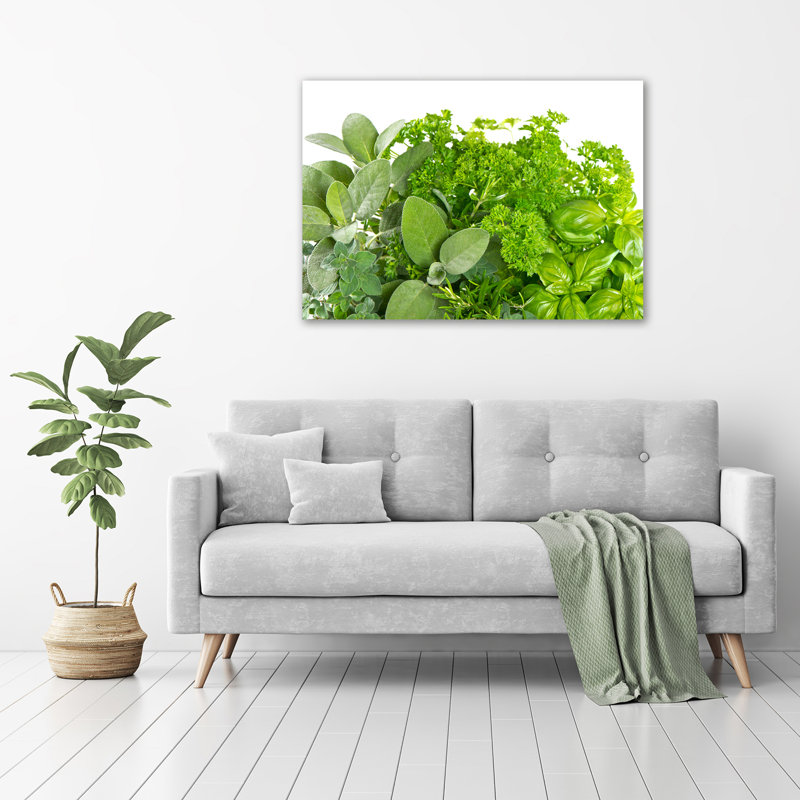 Herbs - No Frame Print on Canvas