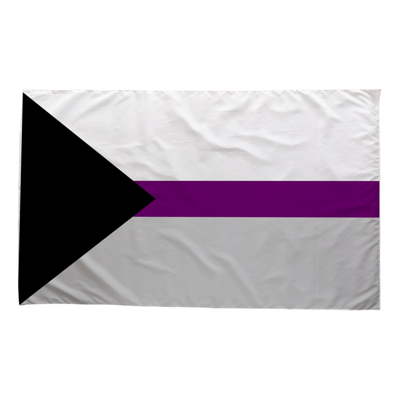 Drapeau Demisexual Pride - drapeau extérieur, 24" H x 36" W