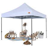 Commercial 10 Ft. W x 10 Ft. D Metal Pop-Up Canopy The Pop Up Canopies