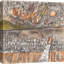 Untitled IV (Free Associations) by Vittorio Teruzzi - Wrapped Canvas Print-1770812536
