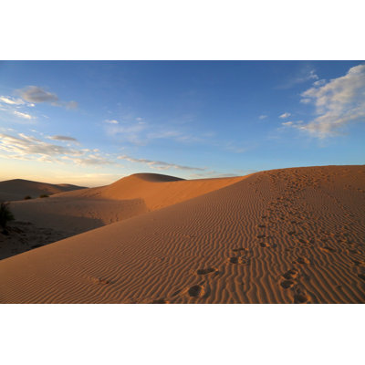 Sand Dune by Brucemaloneatx - Wrapped Canvas Print