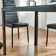 Reiner Glass Top Metal Base Dining Table