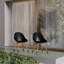 Alyisa Premium All-Weather Wicker Outdoor Dining Side Chair