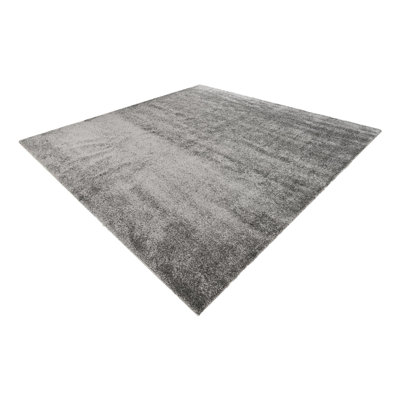 Zuniga Gray Area Rug