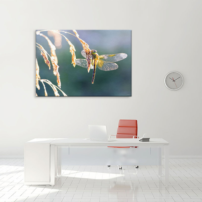 Print on Canvas, 100cm H x 150cm W x 2cm D