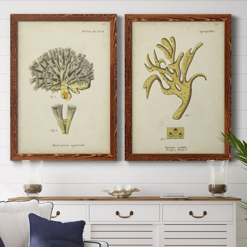 Toile encadrée écrue corail XIP Remium - prête à être accrochée, H 37,5 po x l 55 po x P 1,5 po, Toile avec cadre érable