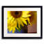 Sunflowers with Blue Vase Photographic Print-65849393-132457290