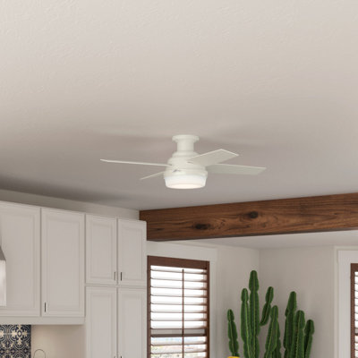 44" Dempsey 4 - Blade Outdoor Flush Mount Ceiling Fan with Light Kit Included