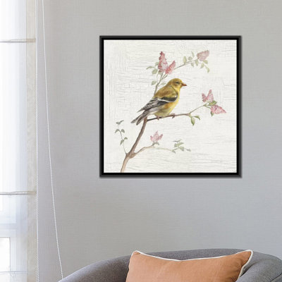 " Vintage Female Goldfinch " by Danhui Nai