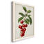 Antique Fruit II - Cadre photo unique, impression sur toile-1031960766-1031960765