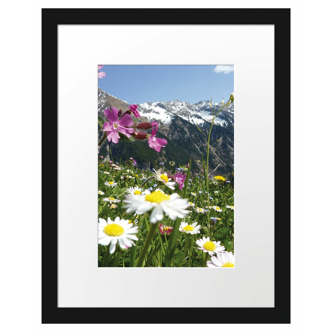 Gerahmtes Poster Wunderschöne Blumen Alpenwiese