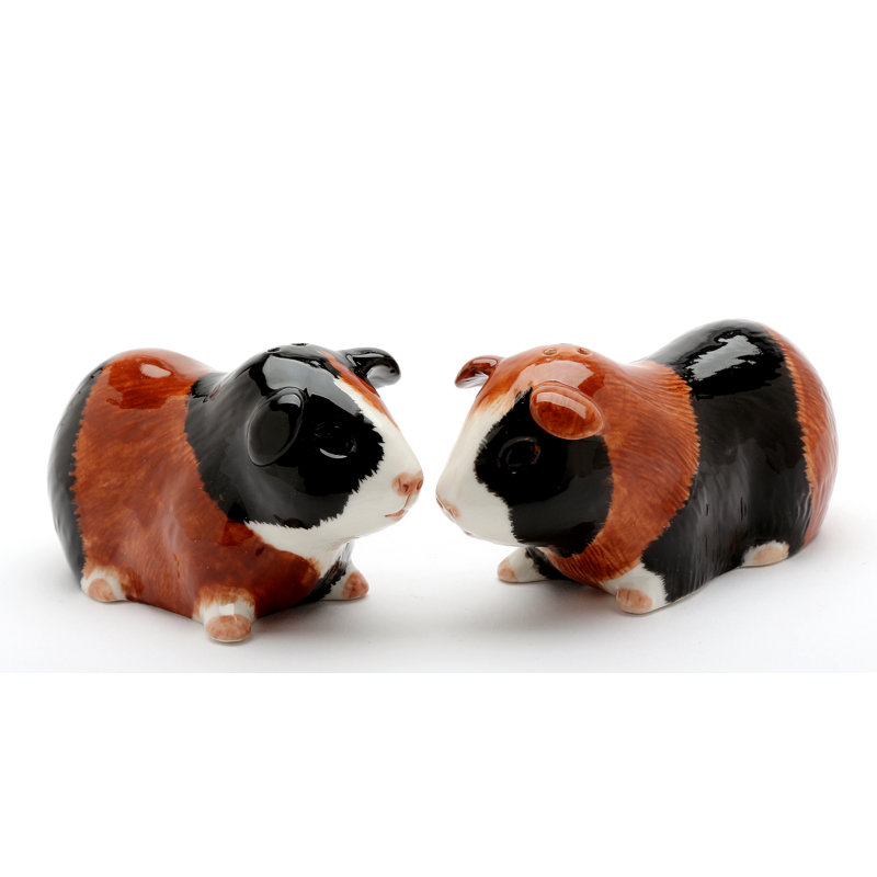Salière et poivrière cochon d'Inde