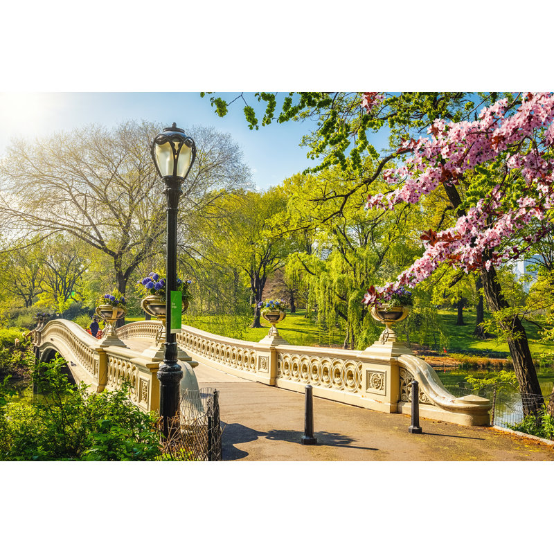 Veropeso " Central Park At Spring " by Sborisov, 32" H x 48" W