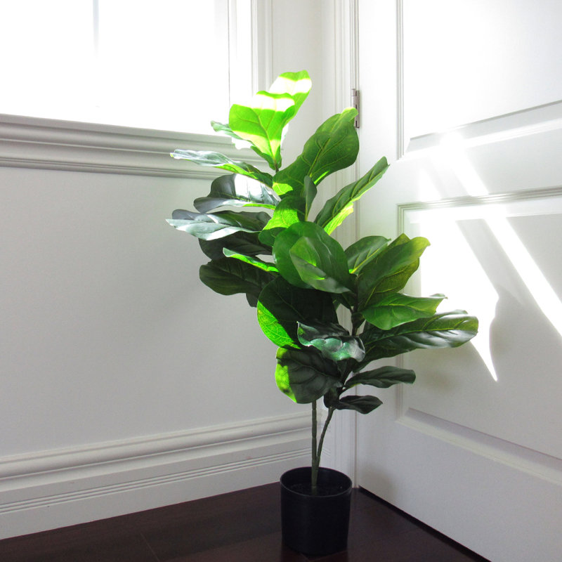 Figuier artificiel en pot, H 36 po x l 24 po x P 18 po