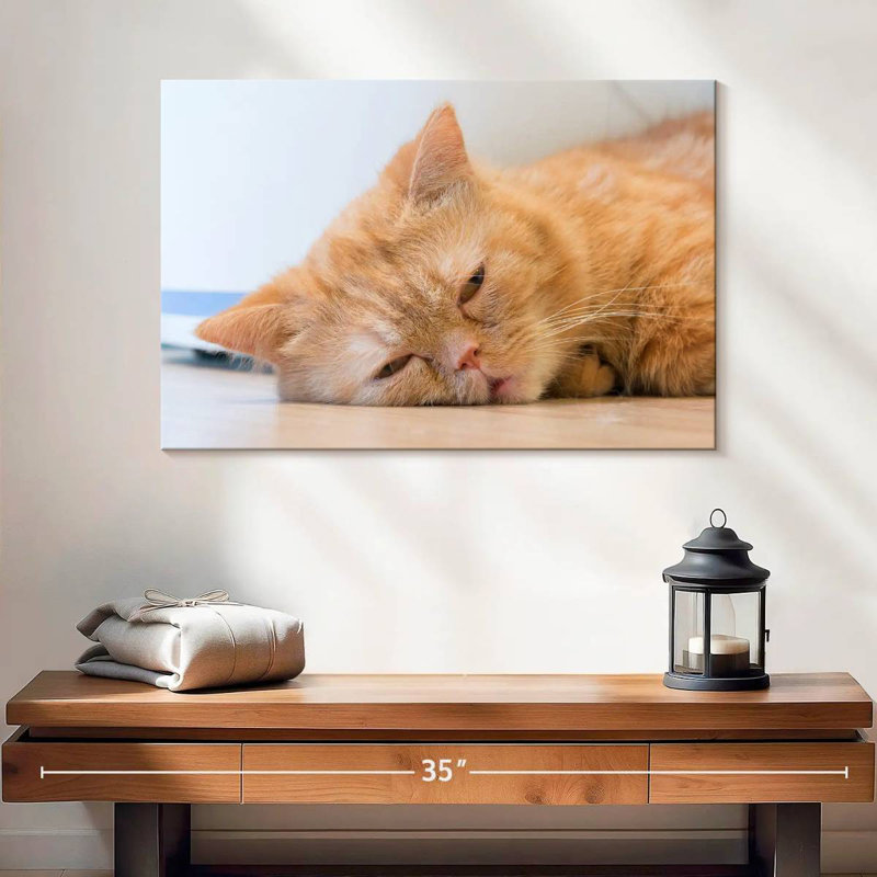 Crowle Sleeping Cat, 16" H x 24" W